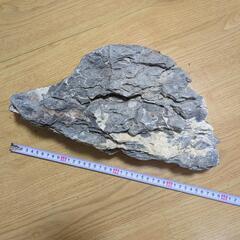 【アクアリウム】龍王石1点 7.4kg【値下交渉可】の画像