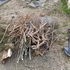 薪　焚き火　バーベキューの画像