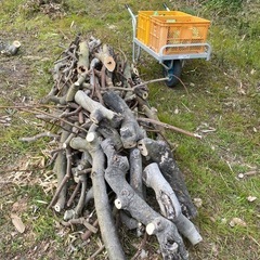 薪　焚き火　バーベキューの画像