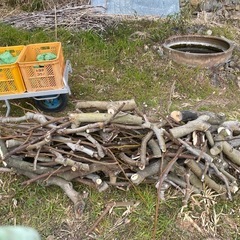 薪　焚き火　バーベキューの画像