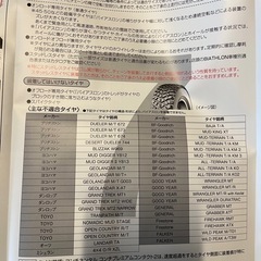 【決まりました】非金属チェーン バイアスロン クイックイージーの画像