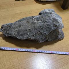 【アクアリウム】龍王石1点 8.4kg【値下交渉可】の画像