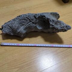 【アクアリウム】龍王石1点 8.4kg【値下交渉可】の画像