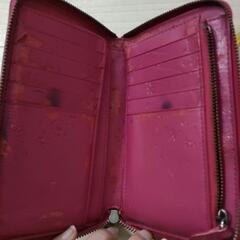 COACH長財布の画像