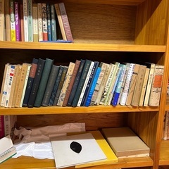 書籍の画像