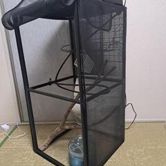 このセットで　すぐ飼育出来ます　爬虫類用メッシュケージ　　の画像