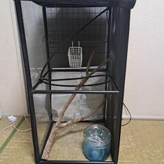 このセットで　すぐ飼育出来ます　爬虫類用メッシュケージ　　の画像