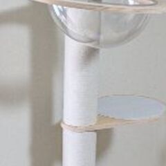 【お取引中】キャットタワー（未使用）の画像