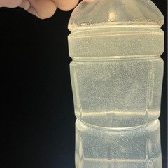 ゾウリムシ めだかの赤ちゃん(針子～稚魚）のえさ
