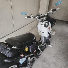 ホンダズーマー（AF-58）FI車の画像