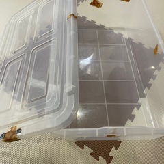 【取引中】収納ケースの画像
