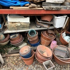 引き取り限定　植木鉢　単品からまとめて割　　　の画像