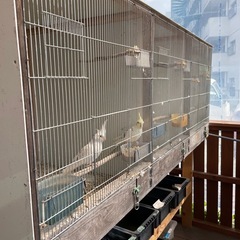 鳥ごや