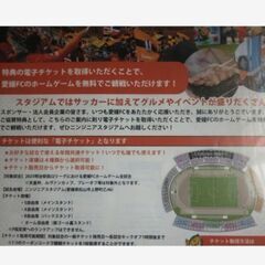 値下げ相談　愛媛FC 2025シーズン ホームゲーム年間チケット の画像
