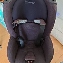 マキシコシ　トビ
