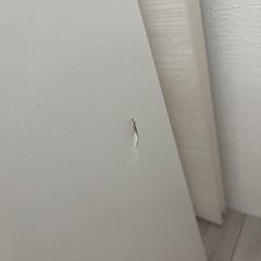 取引中
【訳ｱﾘ】IKEAカラックス の画像