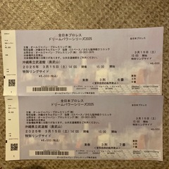 開催日2025年3/15（土）15時開演　　　全日本プロレスチケ...