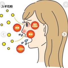 スギ花粉症の治療について教えたい
