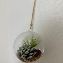【50％値引き中 】インテリアの画像