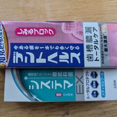 歯磨き粉　デントヘルス しみるブロック85g×1　システマEX3...