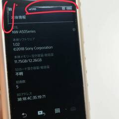 【動作品】SONY ウォークマン NW-A55/16GBの画像
