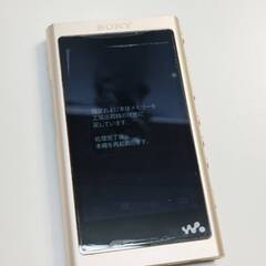 【動作品】SONY ウォークマン NW-A55/16GBの画像