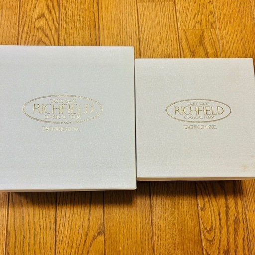 新品　たち吉　大きめスープ皿　サラダボール　リッチフィールド　洋食器　セット　
