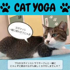 2025年3月23日(日)　保護猫チャリティーヨガ