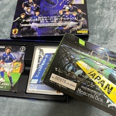 2002年 日韓ワールドカップ  限定レア品