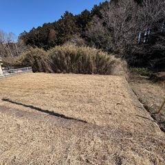 山武市　更地50坪　40万円！