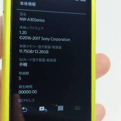 【動作品】SONY ウォークマン NW-A35/16GBの画像