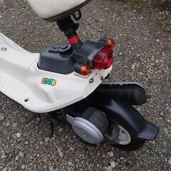 ホンダ　ZOOK レア　貴重　人気のホワイト　ジャンクの画像