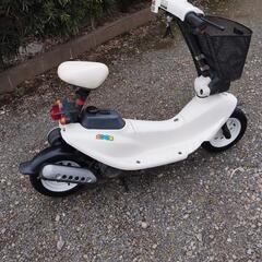 ホンダ　ZOOK レア　貴重　人気のホワイト　ジャンクの画像