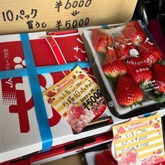 本日入荷したて?いちごさん10パック