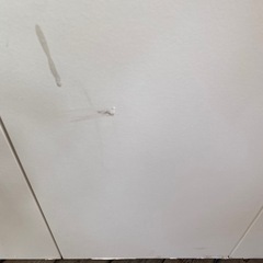 決まりましたの画像