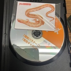 水曜スペシャル 川口浩探検シリーズの画像