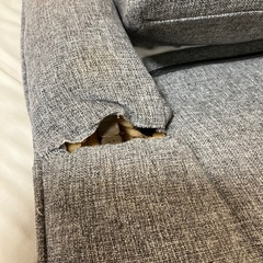 600円座椅子　背もたれ57センチシミ破れありをカバーでカバーの画像