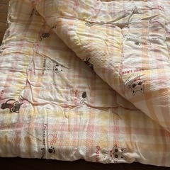 肌掛け布団　シングル　猫ちゃん柄🐾
の画像