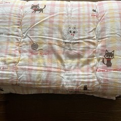 肌掛け布団　シングル　猫ちゃん柄🐾
