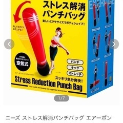 エアースタンディングサンドバッグの画像