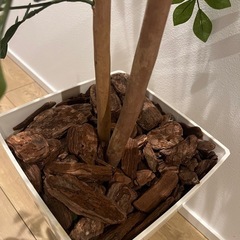 【美品】フェイクグリーン 人工観葉植物 110cmの画像