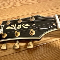 Burny レスポールカスタム　RLC-45 レフティの画像