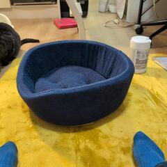 犬、猫用、クッションの画像