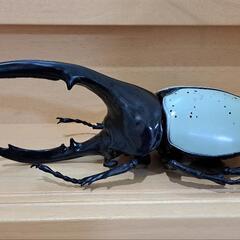 カブトムシ　おもちゃ