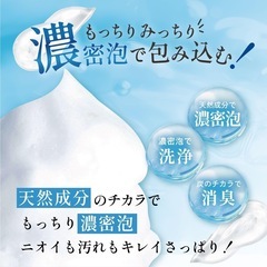 ウィル クレンズ フットソープ 医薬部外品 炭 柿 茶 フットスクラブ 足洗いソープ 足の匂い消し 足用石鹸の画像