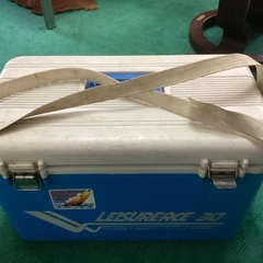 釣り用クーラーボックス　ＬＥＩＳＵＲＥＡＣＥ　３０