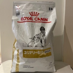 ROYAL   CANAN ユリナリーS/O エイジング7＋