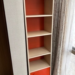 カラー棚お譲りします【苫小牧】