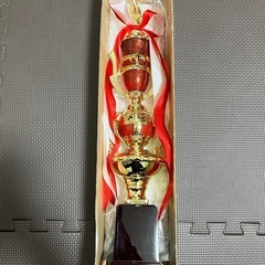 トロフィー　49cm 大会　記念品の画像