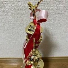 トロフィー　49cm 大会　記念品の画像